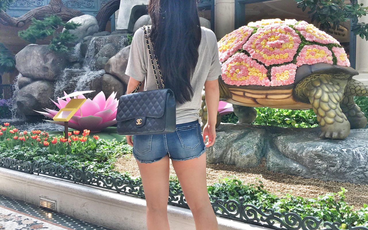 Fashion